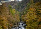 Jonathan Elliott_Afon Glaslyn River in Autumn(1).jpg